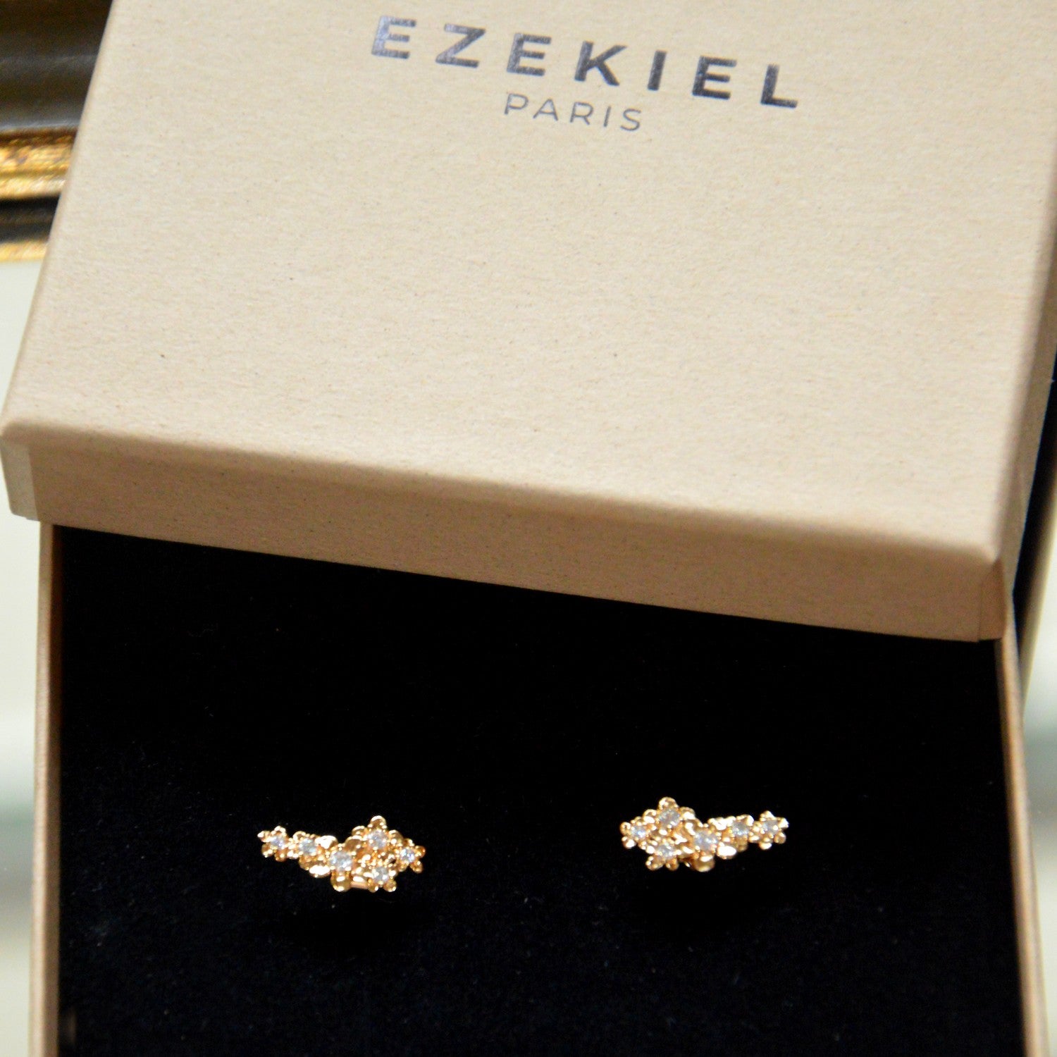 Boucles d'Oreilles Michelle - Puces d'Oreilles Feuillage Plaqué Or 18K et Zirconiums - 2cm
